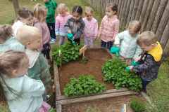 IMG-715609e92955533026860718002961fa-V