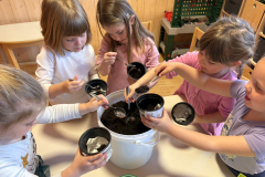 IMG-1a1d2f9325a6dd566c3c4fc7758779c6-V