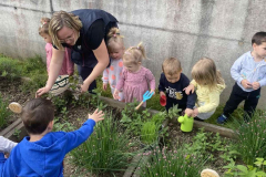 IMG-6f298e4b792bd19147d181bb11d0f114-V