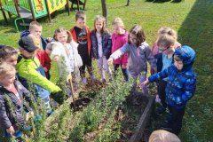 IMG-ba4c8050c4f94a058040ce699e69a427-V