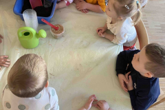 IMG-bdb4801fa93466dda94beecfdc0348f6-V