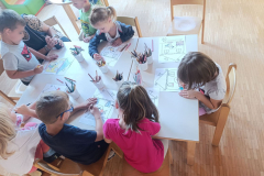 IMG-ecca337e7ed5c511b65957208fa89d24-V