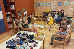 IMG-fbd28ef1d88b39585137b8a065c8f441-V