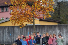 IMG-c4131a2a57f2dc6a49fc932a96df9944-V